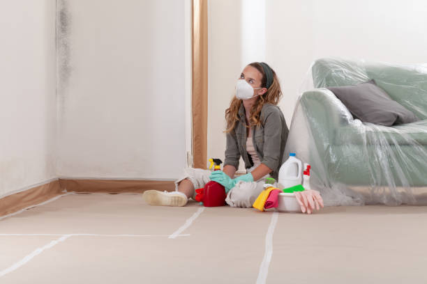 Reliable Mold Cleanup contractor in Pine Brook, NJ by Cheap Mold Removal